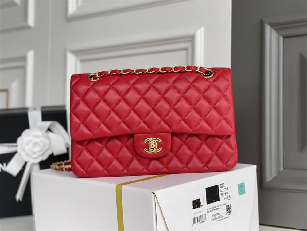 Chanel classic flap 25cm 2025 new 